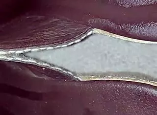 He came on his step mom's dirty heels