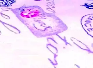 Sweet Pussyfucking Makes Big Ass Big Tits Indian Horny For More