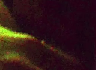 Do You Really Want It