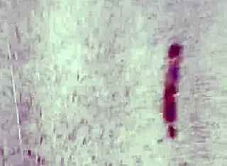 Colombiana explores her cultural roots in an engaging narrative