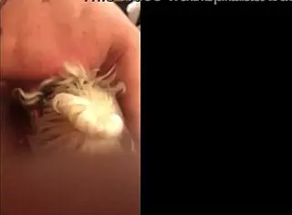 Milf Blowjob Compilation With Facial Finishes