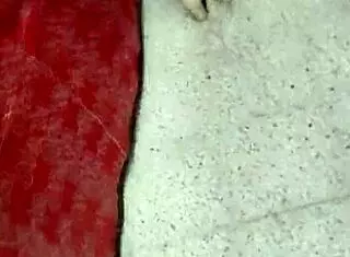 Colombiana explores her cultural roots in an engaging narrative