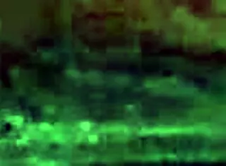 stylish hotpants combined with shiny pantyhose for everyday fashion outfits and versatile looks