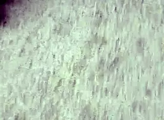 Kolumbijka raziskuje kulturne korenine v vznemirljivi zgodbi