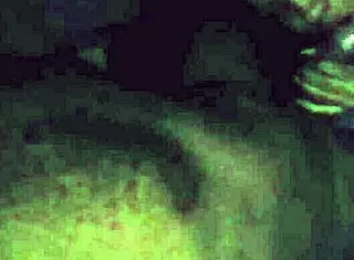 Suzy Furacao Mamando Leo Ogro In Bold Oral Action