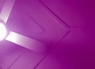 Sammie dives into wet pussy licking session