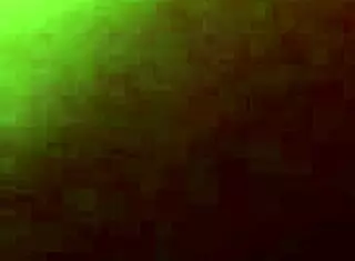 Romi Rain and Megan Rain collaboration