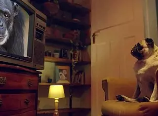 Fantasie and Emily Pink in Wild Lesbian Action