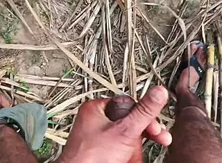 Sexy married girlfriend fucked hard in outdoor sugarcane field with intense action and passion