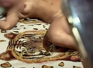 aventuras da belinha com dois comedores pela manh� - pr�via