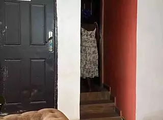 Watch this funny house girl dive into her first wild pussy licking session with madam!