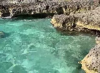 Monika Fox Stops Tour Bus For Naked Swim In Sea With Big Fake Tits