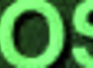 teaching her to suck that hard verga