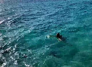 Monika Fox Stops Tour Bus For Naked Swim In Sea With Big Fake Tits