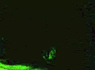 teaching her to suck that hard verga