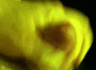 Exclamatory-Raw business jo mov with cum jerking off action!