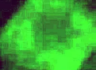 Oh man, I... uh, watched this Koreana puta chupando pija like a pro, felt so intense.