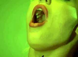 Holly Wellin deep throats hard cock before it slides into her pretty shaved pussy and asshole. She rides in cowgirl with anal fingering and fishnets on.