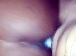 Cub vs cougar showcases an exciting matchup with energy and strategy in action