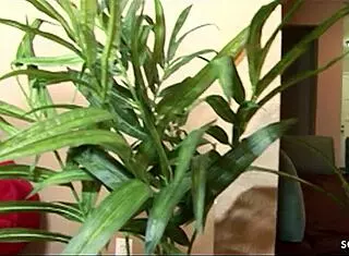 i picked up this curvy big butt ebony bitch for a rough casting fuck with deepthroat and facial cumshot