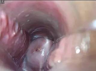 Orgasmo Vaginal