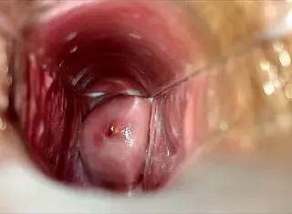 Orgasmo Vaginal