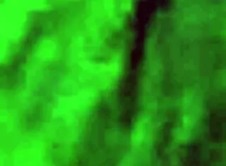 why not stroke that big dick for ultimate pleasure?