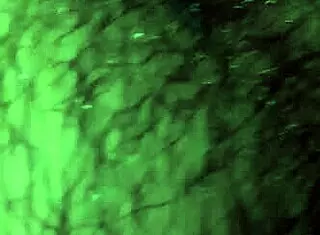 why not stroke that big dick for ultimate pleasure?