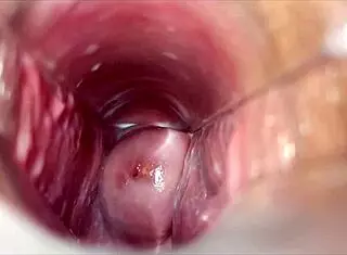 Orgasmo Vaginal