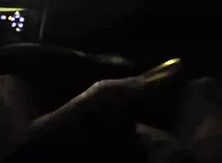 Driftwood and Barefoot Kontessa Evening Cruise