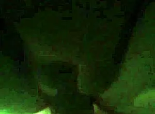 in this close-up scene, a milf with a big ass bends over for doggystyle action with a monster cock leading to a creampie finish