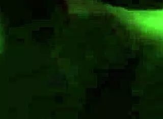 in this close-up scene, a milf with a big ass bends over for doggystyle action with a monster cock leading to a creampie finish