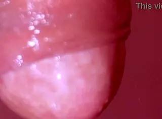 I never thought going to China would turn me into a prostitute by mistake