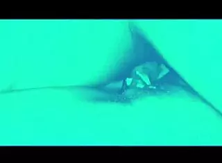 homemade bad bitch arrives to share bed with intense action