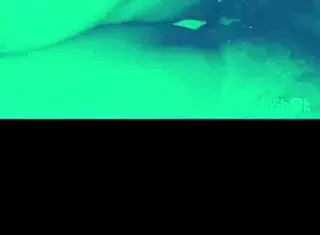 homemade bad bitch arrives to share bed with intense action