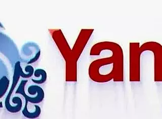 Beautiful Ebony With Hairy Pussy Masturbates Solo