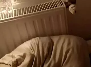 French Curvy Big Ass Contrasts Slim Waist in Doggy Style Position