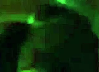 Paid my app driver ride with tight anal creampie and cum swapping in the car 😏