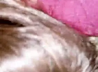 Bigass desiwife 4u shares update 5 with xvideos mj bhand kachhoda in hd from may 31 2025.