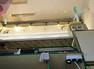 This super sexy slim eighteen-year-old chick is working in pear thongs and going braless outdoors.