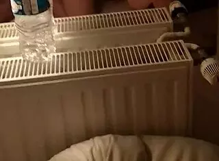 French Curvy Big Ass Contrasts Slim Waist in Doggy Style Position