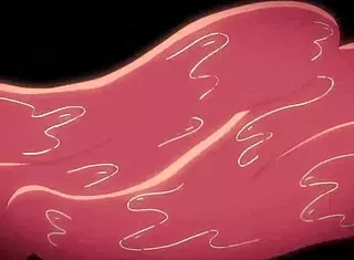 Hentai Anime Video with Detailed Scenes