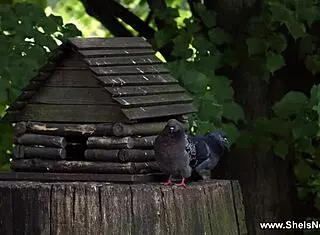 I feel so connected to this busty teen 18+ amalia davis in glasses as she rides and gets fucked hard.