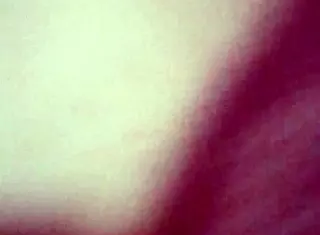 Me and Marie try doggie position together