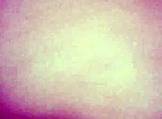 Me and Marie try doggie position together