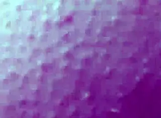 Pamela Scopa E Squirta Per Strada - Part 3 Features Outdoor Public Creampie Action