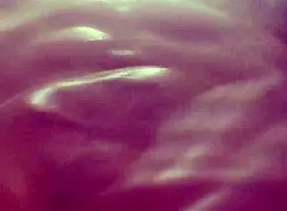 Why am I jerking off this monster big black cock before work in homemade video?