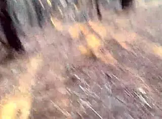 clitlicker662 shares an intriguing update from dec 12 2024, capturing solo outdoor masturbation in the forest with naked exhibitionist flashing and sloppy clit play