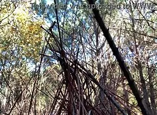 clitlicker662 shares an intriguing update from dec 12 2024, capturing solo outdoor masturbation in the forest with naked exhibitionist flashing and sloppy clit play