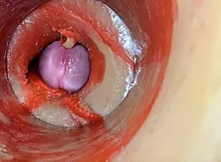 Feel that huge cock pulsing deep inside my tight wet pussy! She moans during close-up creampie insemination.